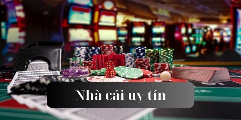 Soi kèo Leicester với Wolves Soi kèo Leicester với Wolves